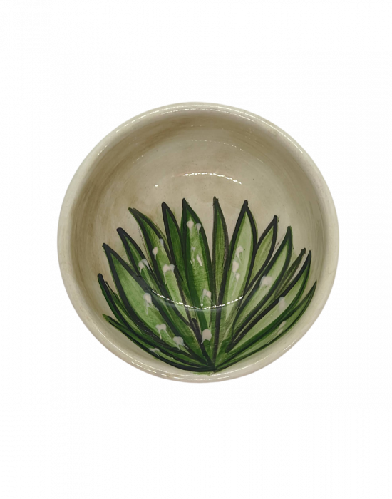 Small ceramic bowl cactus 2