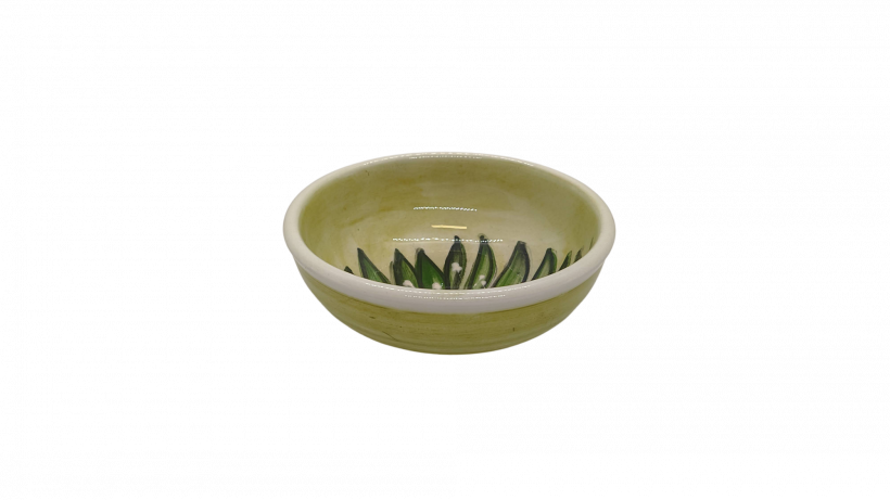 Small ceramic bowl cactus 2