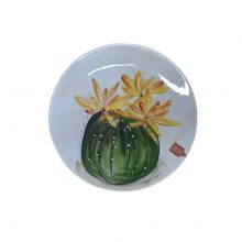 Κεραμική Πιατέλα - Ceramic Platter